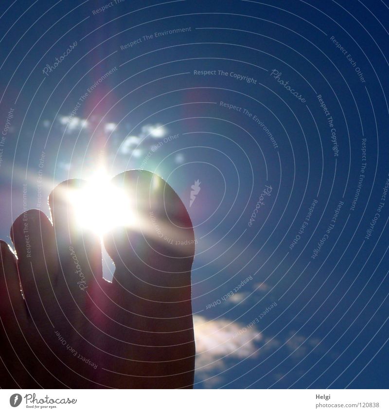 Durchleuchtung... Zehen Gelenk Nagel links Licht Sonne Sonnenlicht Gegenlicht Wolken Ferien & Urlaub & Reisen Erholung hochhalten vertikal Strand Meer Sommer