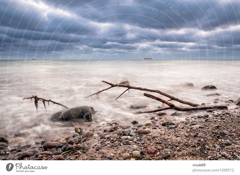 Treibholz an der Küste der Ostsee Erholung Ferien & Urlaub & Reisen Strand Meer Natur Landschaft Wasser Wolken Wetter Stein Holz Romantik Idylle Ast Zweig