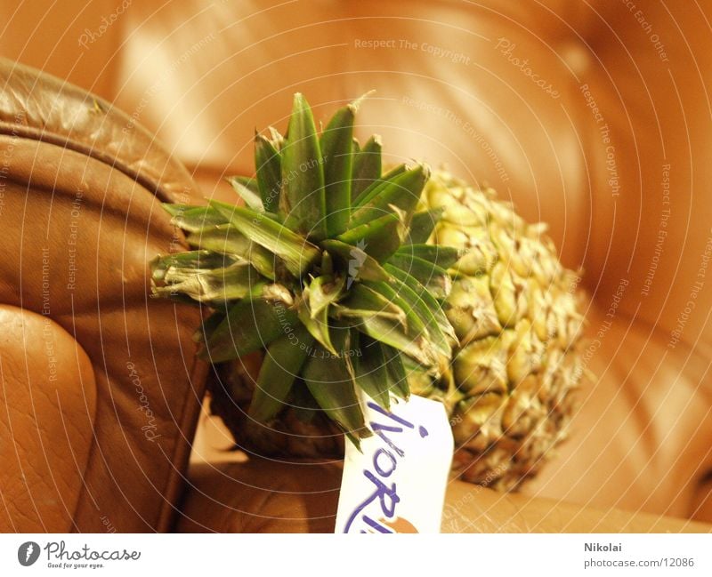 Ananas im Sessel Stil Fototechnik Frucht Unsinn