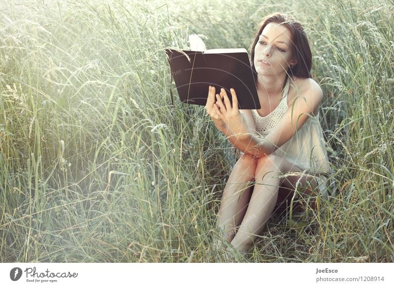 #1208914 Freizeit & Hobby Freiheit Sommer Sommerurlaub Garten lernen Frau Erwachsene Leben Natur Sonnenlicht Gras Sträucher Wiese beobachten Erholung lesen