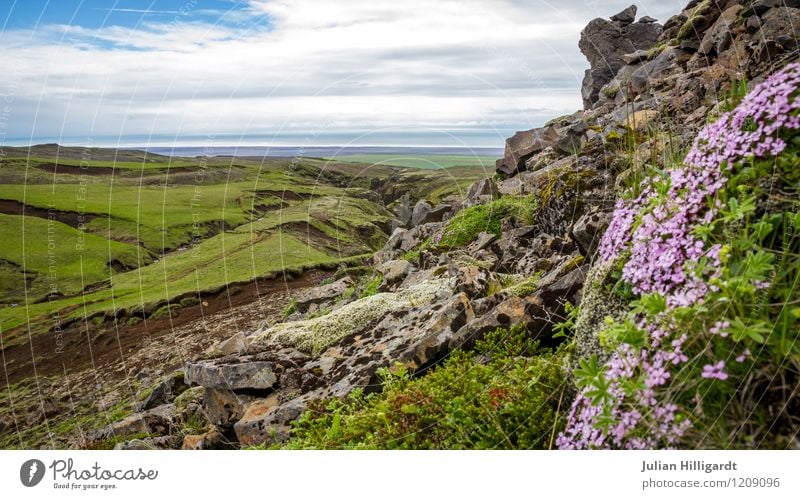 weites Land Lifestyle Freizeit & Hobby Berge u. Gebirge Umwelt Natur Landschaft Pflanze Himmel Hügel Felsen entdecken Fitness Wärme Gefühle Stimmung Abenteuer