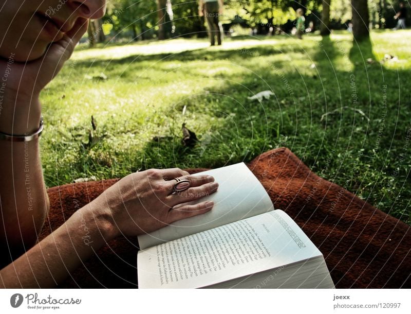 Eintauchen Baum Buch Feierabend Ferien & Urlaub & Reisen Frau Freizeit & Hobby Frühling grün Park Hand Junge Frau lesen Licht Liegewiese Nachmittag Roman ruhig