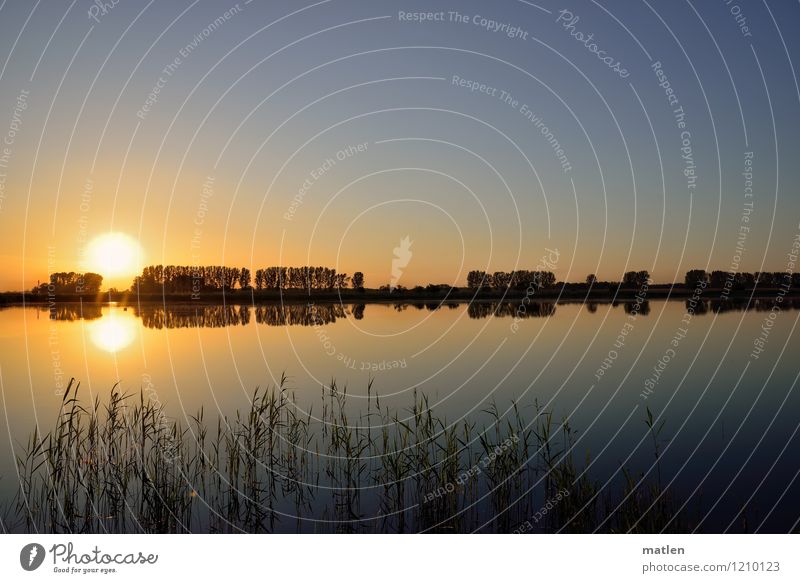 Johnny Walker kommt... Umwelt Natur Landschaft Pflanze Wasser Himmel Horizont Sonnenaufgang Sonnenuntergang Wetter Schönes Wetter Baum Gras Sträucher Küste