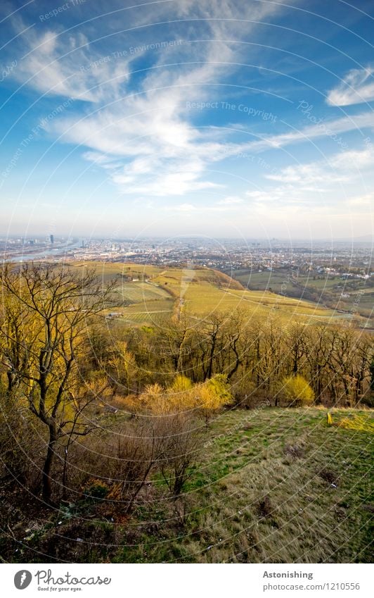 Blick auf Wien 2 Umwelt Natur Landschaft Pflanze Luft Himmel Wolken Horizont Frühling Wetter Schönes Wetter Baum Gras Sträucher Wiese Wald Hügel Österreich