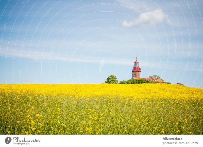 Textfreiraum links – Ostsee Edition Pflanze Feld Dorf Leuchtturm alt historisch Kitsch verrückt Farbfoto Außenaufnahme Menschenleer Tag Zentralperspektive