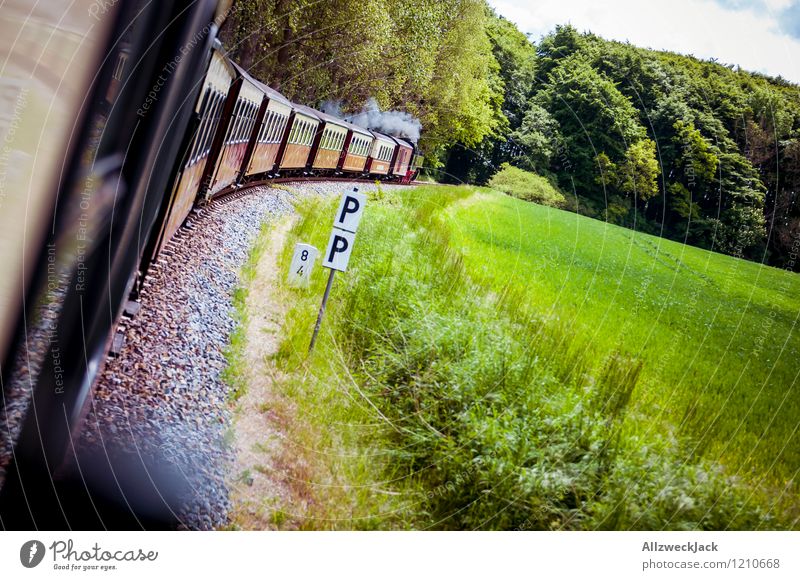 Landpartie Frühling Sommer Wald Personenverkehr Schienenverkehr Bahnfahren Eisenbahn Dampflokomotive Personenzug Erholung Ferien & Urlaub & Reisen grün rot