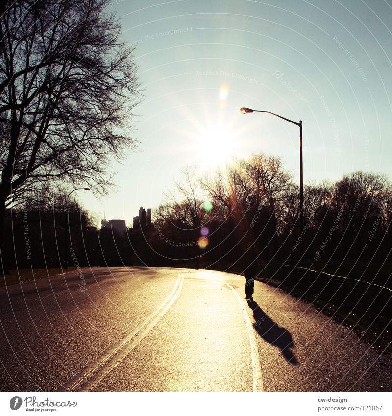 ick loof durch'n paaark, hab beene wie quaaark II Park Joggen atmen Central Park Bürgersteig Licht Baum Regen feucht nass liquide Pfütze Reflexion & Spiegelung