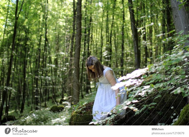 Da schau her Ausflug Abenteuer feminin Kind Mädchen 8-13 Jahre Kindheit Natur Baum Wald Felsen Kleid beobachten stehen grün weiß Gelassenheit ruhig träumen