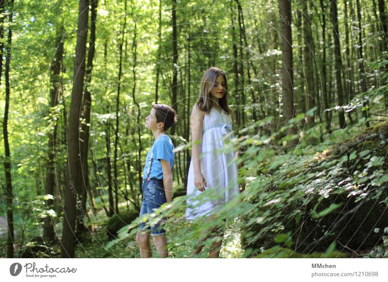 Zeitlos Mädchen Junge Geschwister Bruder Schwester Kindheit 2 Mensch 8-13 Jahre Natur Sommer Baum Wald Felsen beobachten stehen warten Zusammensein