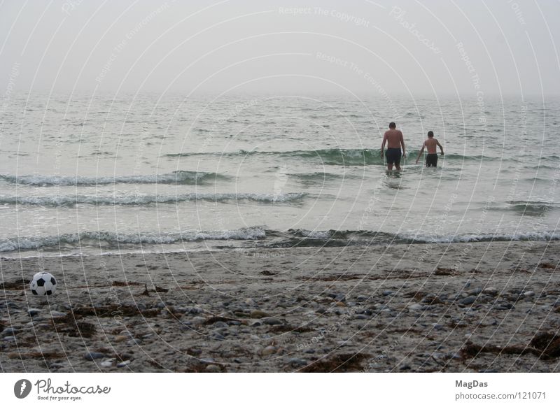 Davy Jones's locker Hiddensee ruhig Erholung Geschwindigkeit rund nass kalt Meer Erfrischung Strand Einsamkeit Küste Ostsee Insel Natur Ball Freude Tor