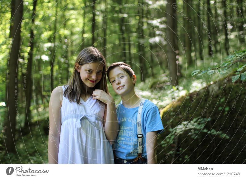 Charming maskulin feminin Mädchen Junge Geschwister Kindheit 2 Mensch 8-13 Jahre Natur Sommer Schönes Wetter Baum Wald leuchten warten natürlich rebellisch grün