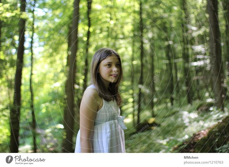 The only way is up Kind Mädchen 8-13 Jahre Kindheit Natur Sonne Sommer Schönes Wetter Baum Wald Berge u. Gebirge Kleid langhaarig beobachten Blick stehen