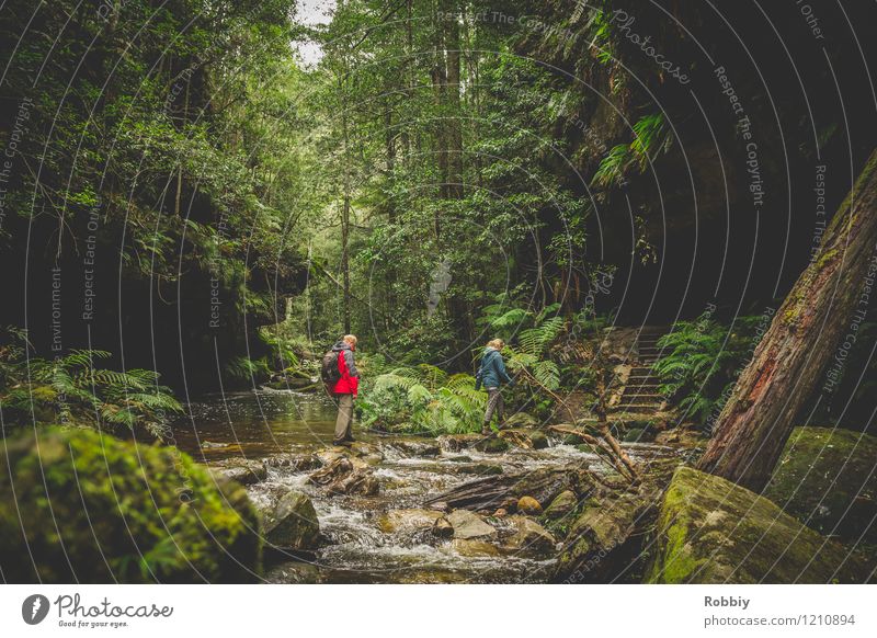 ...über Stock und Stein... Ferien & Urlaub & Reisen Tourismus Ausflug Abenteuer Expedition Berge u. Gebirge wandern Schlucht 2 Mensch Natur Landschaft Urwald