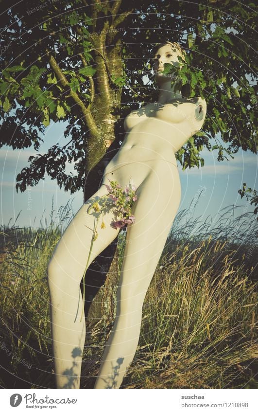 die puppe Natur Außenaufnahme Baum Wiese Sommer Schaufensterpuppe Blumenstrauß Beine ohne