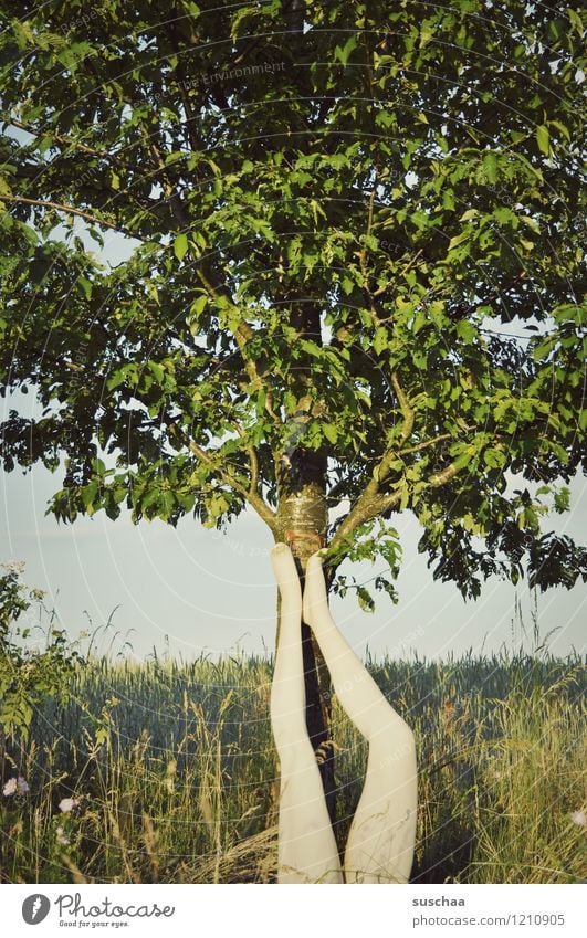 beine Natur Außenaufnahme Baum Sommer Beine Fuß Schaufensterpuppe falsch