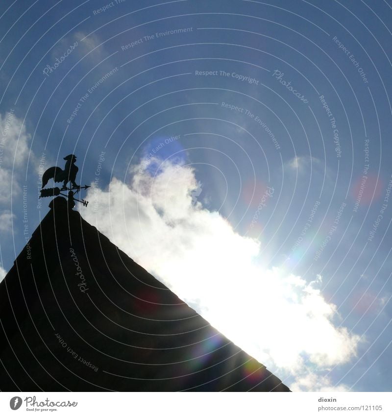 Light The Sun Licht Gegenlicht Wolken schwarz weiß Sonnenstrahlen Hahn Wetterhahn Himmelsrichtung Dach Sommer Fröhlichkeit positiv Guten Morgen Physik