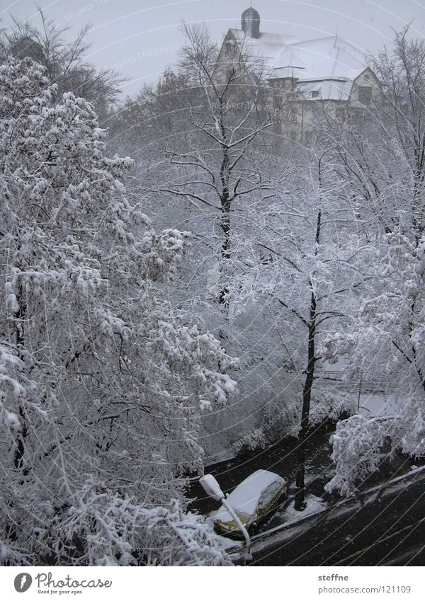 Klimawandel I Winter Baum Schneeflocke weiß Gebäude Aussicht Wohnung Panorama (Aussicht) Balkon Dachgeschoss Häusliches Leben Temeraturanstieg Wetterkapriolen