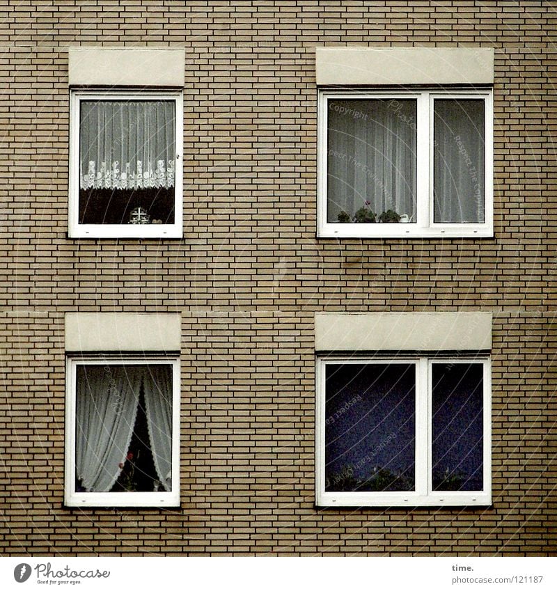 Final Curtains Vorhang Gardine Haus Hochhaus Mauer Fenster 4 niedlich Stillleben Heimat Wohnung Rechteck Quadrat Unterhaltungselektronik trist rückwärts