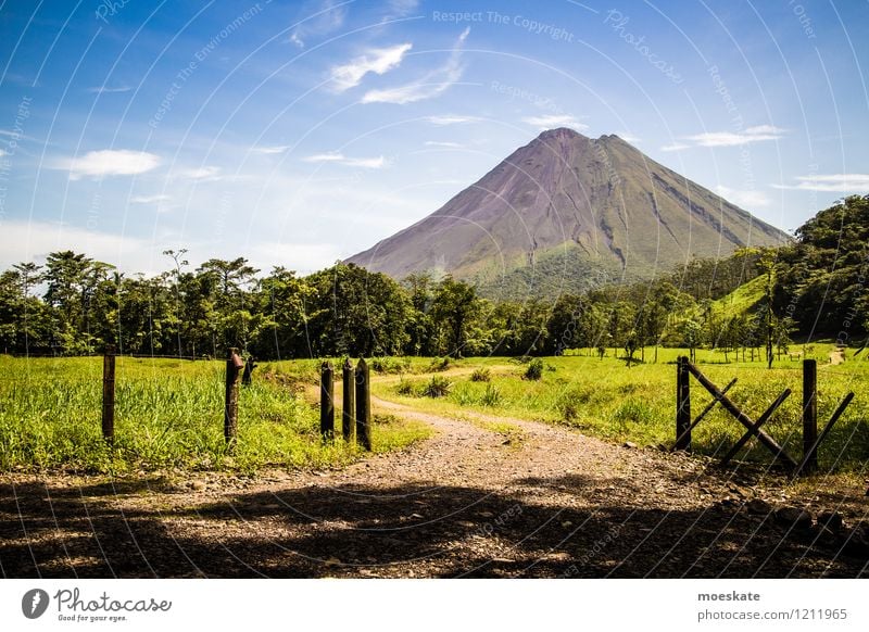 Vulkan Arenal Costa Rica Natur Landschaft Urelemente Erde Himmel Wolken Sommer Schönes Wetter Feld Wald Urwald alt blau grün Farbfoto Gedeckte Farben