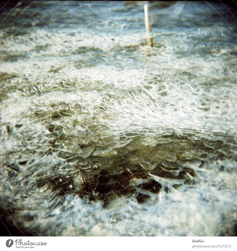 Ein bißchen Winter kalt Eisscholle gefroren Steinhuder Meer Holga Mittelformat Holz See Teich Eiswürfel Eisfläche Wasseroberfläche Binnensee winter 2006 agfa