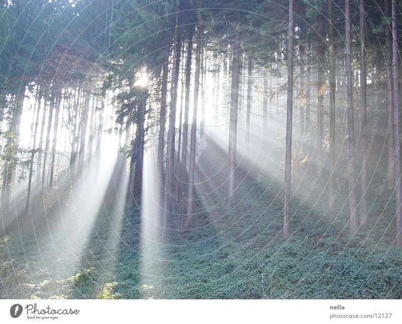 Lichtspiel Balkon Morgen Berge u. Gebirge Vom aus eines fotografiert.....