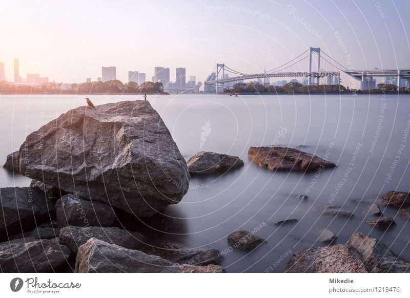 Tokyo Bay Wasser Sonne Schönes Wetter Felsen Stadt Hauptstadt Hafenstadt Skyline Menschenleer Haus Hochhaus Brücke Bauwerk Gebäude Architektur Sehenswürdigkeit