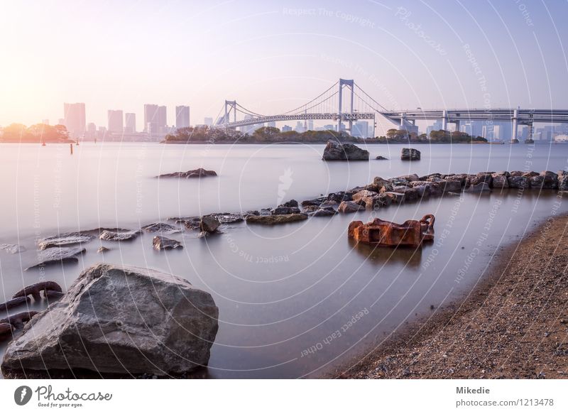 Tokyo bay Rainbow Bridge Erde Sand Wasser Sonne Schönes Wetter Felsen Stadt Hauptstadt Hafenstadt Skyline Menschenleer Haus Hochhaus Brücke Bauwerk Gebäude