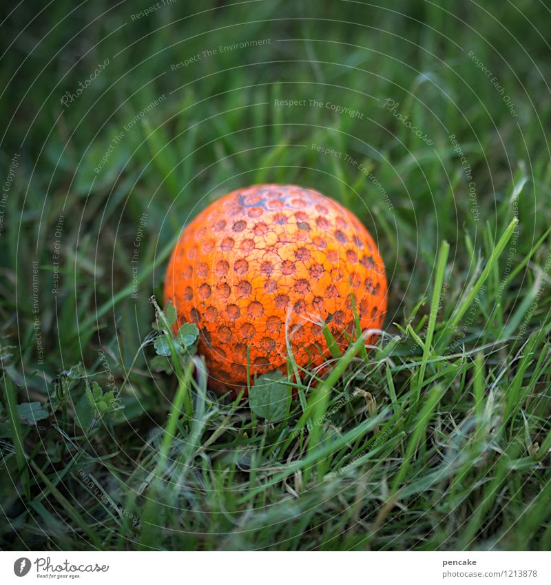 einlochen Freizeit & Hobby Spielen Park Freude Golfball sportlich Sportrasen rot grün Ball Farbfoto Nahaufnahme Makroaufnahme Muster Strukturen & Formen