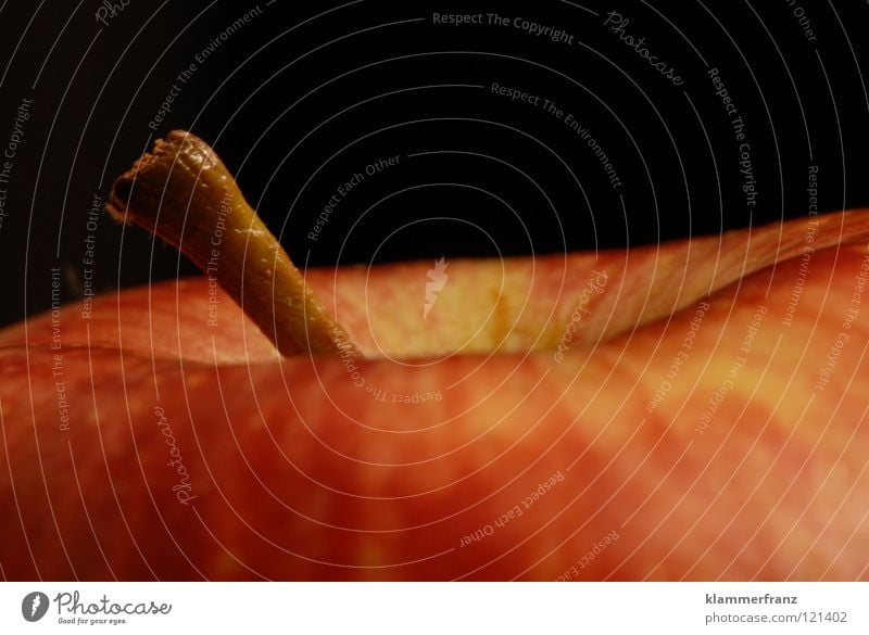Der Apfel Stengel Vitamin Gesundheit Gastronomie Pferdeapfel Frucht Leben Ernährung