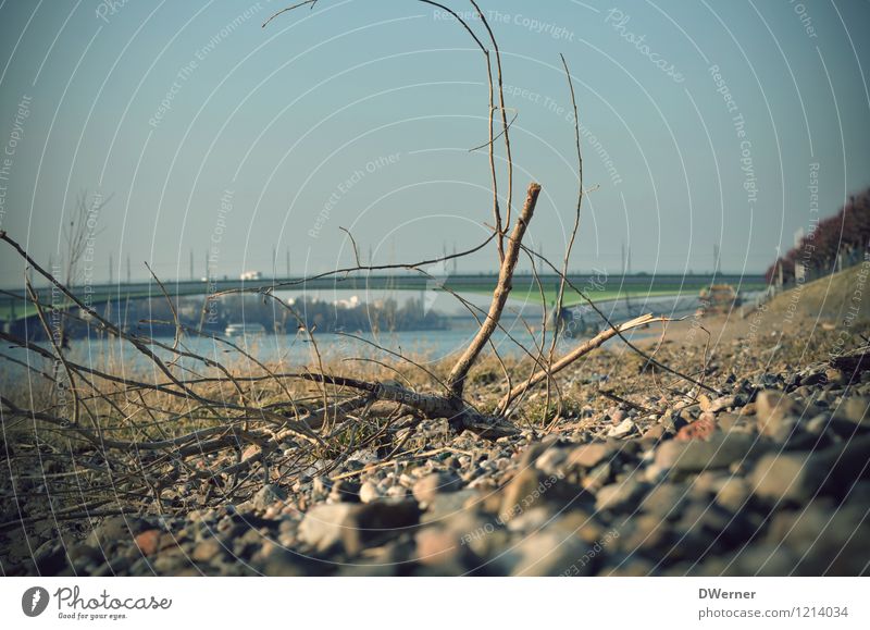 Bonn am Rhein Freizeit & Hobby Ausflug Abenteuer Freiheit Sightseeing Städtereise Umwelt Landschaft Urelemente Wasser Himmel Schönes Wetter Küste Strand Fluss