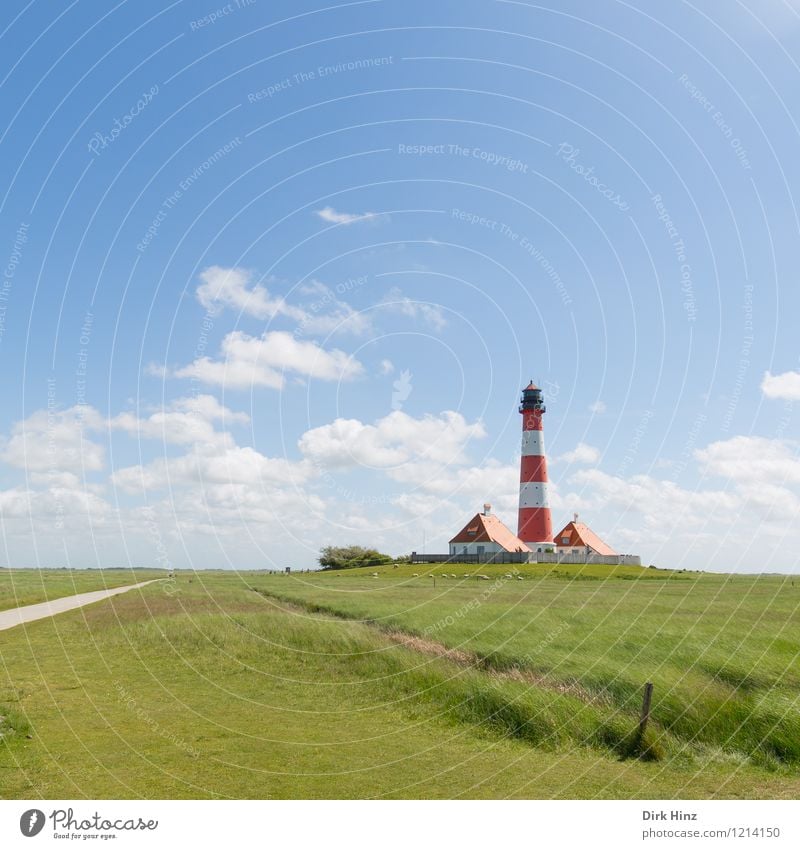 Westerhever Leuchtturm VII Umwelt Natur Landschaft Sehenswürdigkeit Wahrzeichen Denkmal blau grün Navigation Küste Nordseeküste Fernweh Orientierung Horizont