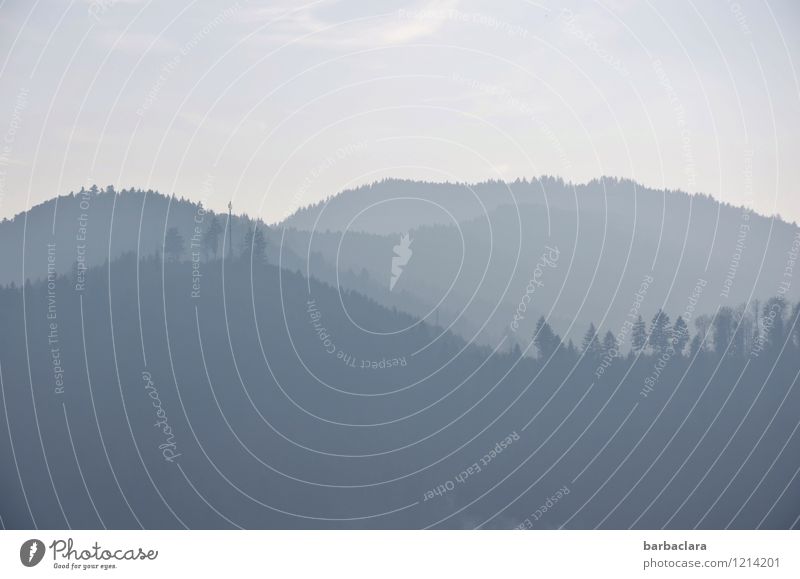 Schwarzwaldpastell Natur Landschaft Himmel Sonnenlicht Baum Wald Hügel Berge u. Gebirge hell blau Stimmung Freude Freiheit Horizont ruhig Umwelt Ferne