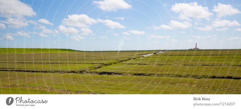 Westerhever Leuchtturm VIII Umwelt Natur Landschaft Urelemente Luft Schönes Wetter Sehenswürdigkeit Wahrzeichen Denkmal blau grün Schleswig-Holstein