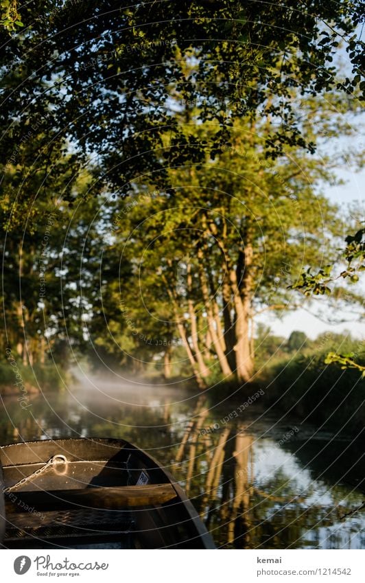 Spreedorado | Kahnfahrt Ferien & Urlaub & Reisen Tourismus Ausflug Abenteuer Spreewald Morgennebel Nebel Nebelschleier Umwelt Natur Landschaft Pflanze Wasser