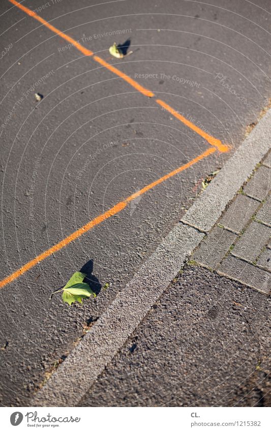 unfall Herbst Schönes Wetter Blatt Menschenleer Verkehr Verkehrswege Straßenverkehr Verkehrsunfall Wege & Pfade Linie orange Farbfoto Außenaufnahme Tag