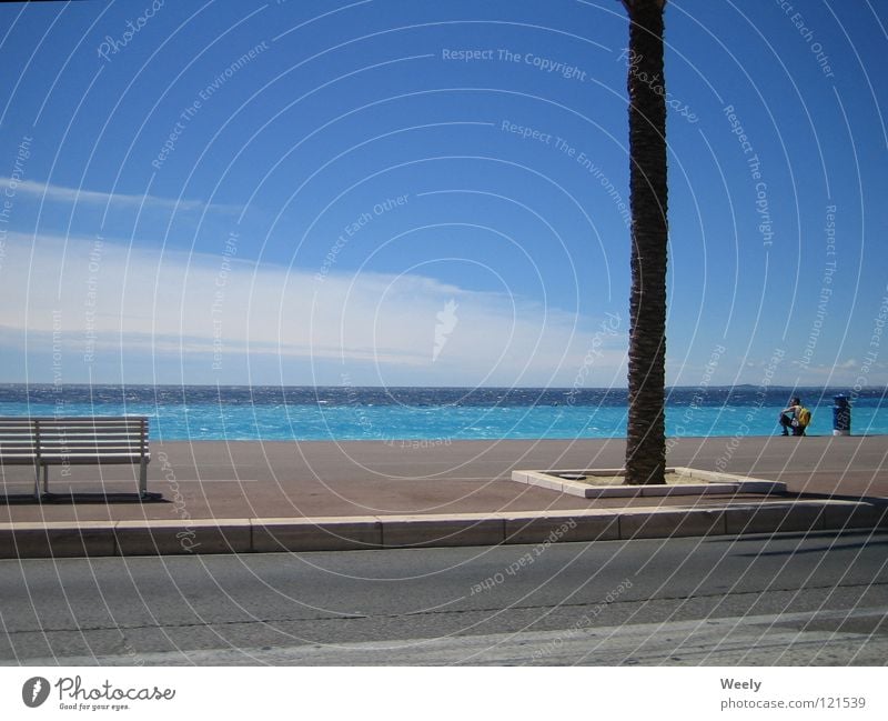 Strand_in_Nizza Meer Ferien & Urlaub & Reisen Palme Süden Wolken Erholung türkis Sommer Sonne Himmel Bordsteinkante Bürgersteig Monaco Cote d'Azur Blauer Himmel