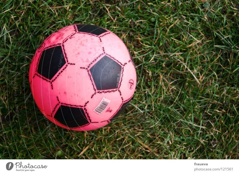 frauenfussball Gras rund rosa Spielen Spielzeug Sport Freizeit & Hobby Ball Kugel Außenaufnahme Sportrasen 1 Fußball Vogelperspektive Textfreiraum rechts