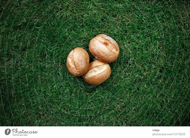 fehl am Platz Teigwaren Backwaren Brötchen Ernährung Picknick Wiese liegen außergewöhnlich frisch grün deplatziert 3 seltsam Farbfoto Außenaufnahme Menschenleer