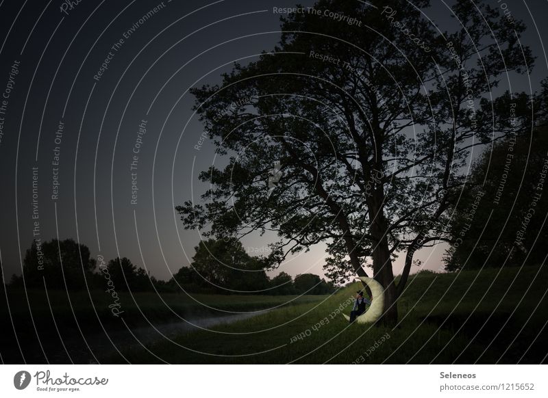 Mann im Mond Freiheit Mensch maskulin Erwachsene 1 Umwelt Natur Landschaft Himmel Wolkenloser Himmel Horizont Baum Wiese beobachten glänzend träumen fantastisch