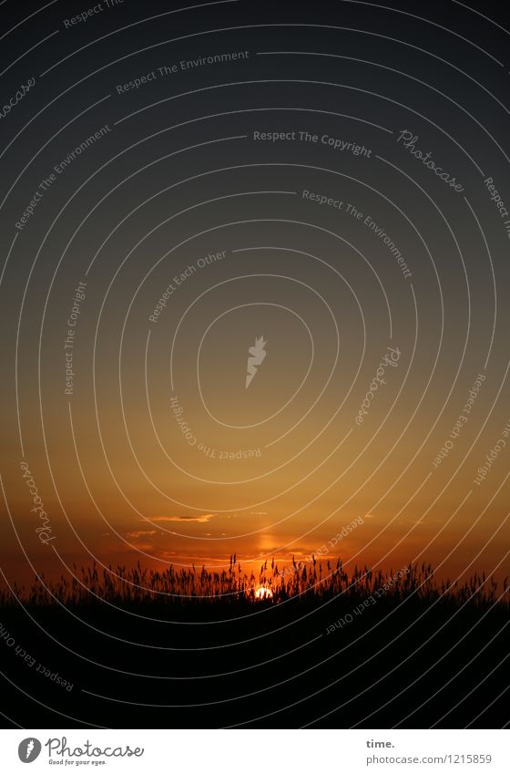 hachja, ein Sonnenuntergang mal wieder Himmel Sommer Schönes Wetter Sträucher Feld Küste Gelassenheit ruhig Wahrheit authentisch Leben Weisheit Sehnsucht