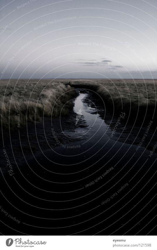 Wattwiese Strand Nordfriesland Meer Küste Wasser Graben Salzwiese St. Peter Nordsee Westküste