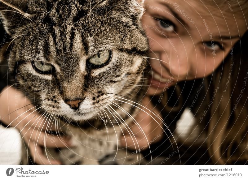 Mädchen mit Katze feminin Kopf 1 Mensch 8-13 Jahre Kind Kindheit Haustier Fell Tier Lächeln lachen Umarmen warten nah braun mehrfarbig Katzenkopf Auge Farbfoto