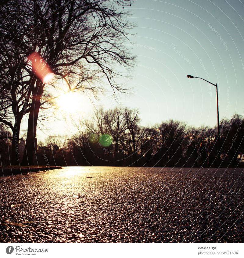 ick loof durch'n paaark, hab beene wie quaaark III Park Joggen atmen Central Park Bürgersteig Licht Baum Regen feucht nass liquide Pfütze Reflexion & Spiegelung