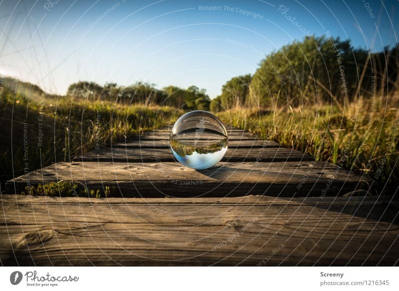 Welten #6 Natur Landschaft Pflanze Himmel Wolkenloser Himmel Sonnenlicht Frühling Sommer Schönes Wetter Wiese Eifel Hohes Venn Moor Glaskugel rund blau braun