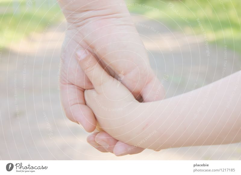 Nimm mich mit. Ausflug Sommer Sonne Mensch Kind Kleinkind Frau Erwachsene Mutter Kindheit Hand 2 1-3 Jahre 30-45 Jahre Natur Landschaft Park berühren Bewegung