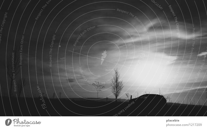 Landstreicher. Ausflug Abenteuer Ferne Umwelt Natur Landschaft Himmel Wolken Pflanze Baum Sträucher Wiese Feld Hügel Verkehr Verkehrsmittel Verkehrswege