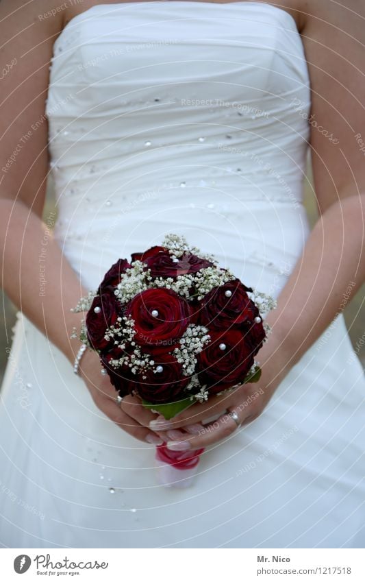 wolle rose kaufen ? Lifestyle Hochzeit feminin Frau Erwachsene Arme Accessoire rot weiß Glück Zufriedenheit Lebensfreude Zusammensein Liebe Verliebtheit Treue