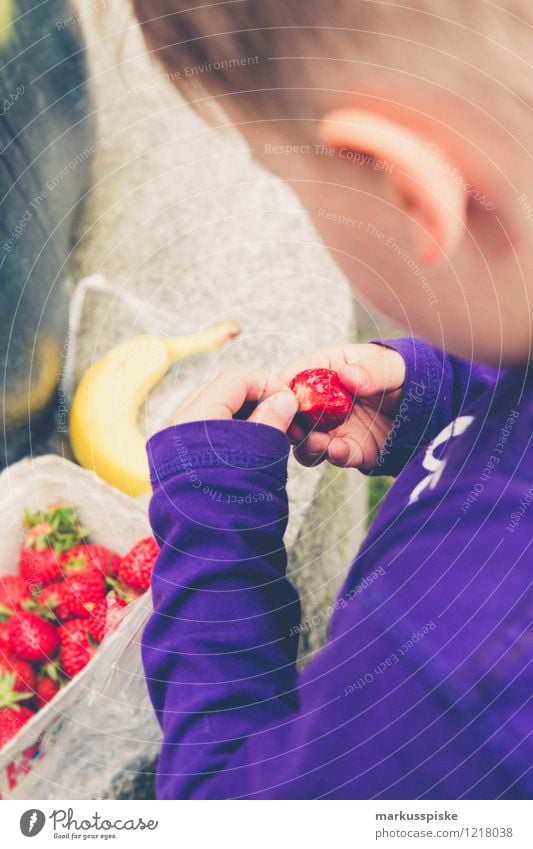 kleinkind isst erdbeeren Lebensmittel Frucht Erdbeeren Banane Essen Bioprodukte Vegetarische Ernährung Slowfood Fingerfood Gesunde Ernährung Wohlgefühl