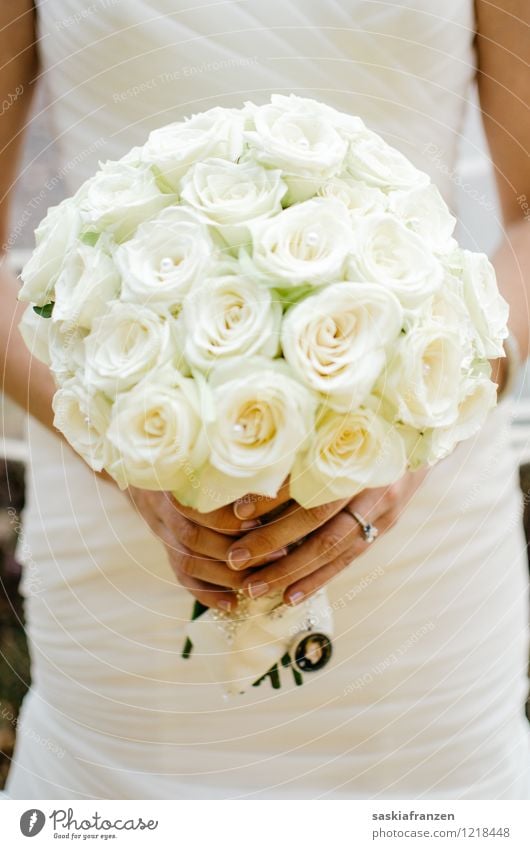 Bouquet. Lifestyle elegant Stil schön Maniküre Feste & Feiern Hochzeit feminin Frau Erwachsene Hand Finger 1 Mensch 18-30 Jahre Jugendliche Umwelt Natur Pflanze