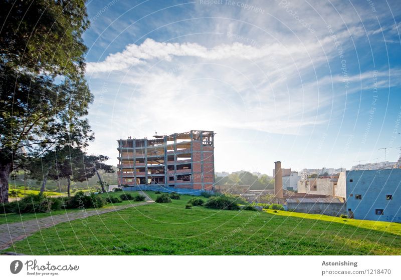 Neubau Umwelt Natur Landschaft Himmel Wolken Wetter Nebel Pflanze Baum Garten Park Wiese Tanger Marokko Afrika Stadt Hafenstadt Haus Bauwerk Gebäude Mauer Wand